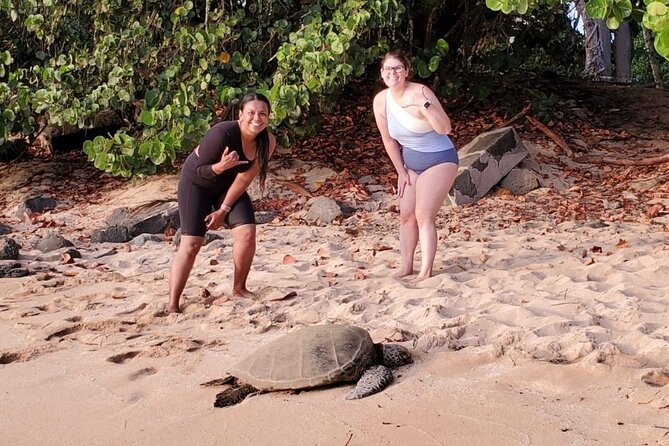 Clear Bottom Kayak - Guaranteed to see Turtles! - Why the Guide Names Keep Coming Up (JC, James, Koa, Steve, and More)
