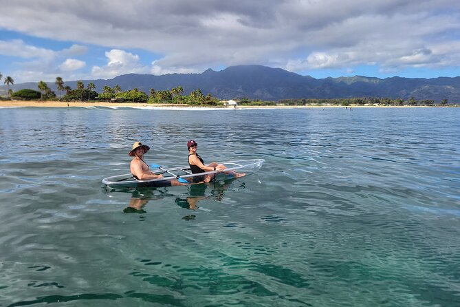 Clear Bottom Kayak - Guaranteed to see Turtles! - Who This Kayak Trip Suits Best