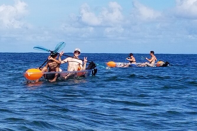 Clear Bottom Kayak - Guaranteed to see Turtles! - Should You Book This Turtle Kayak Tour?