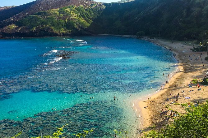 Customizable Island Tours Tours on Oahu - North Shore highlights: Waimea Bay and Sunset Beach energy