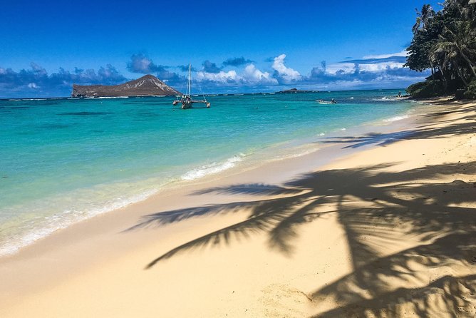 Customizable Island Tours Tours on Oahu - Manoa Falls and the mountain side: getting that “lush Oahu” feel