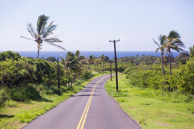 Day Trip from Oahu to Hilo: Volcano Adventure - Hawaii Volcanoes National Park: Kilauea views, steam vents, and the lava tube