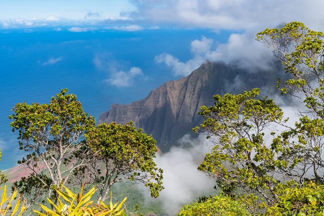 Day Trip from Oahu to Kauai: Highlights & Movie Sites - A 5:30 am start and a full-day “film tour” mindset
