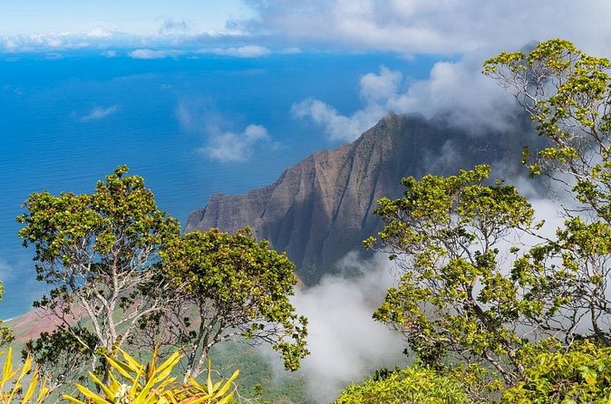Day Trip from Oahu to Kauai: Highlights & Movie Sites - Raiders of the Lost Ark mountains to Hanalei: film backdrops meet real town time