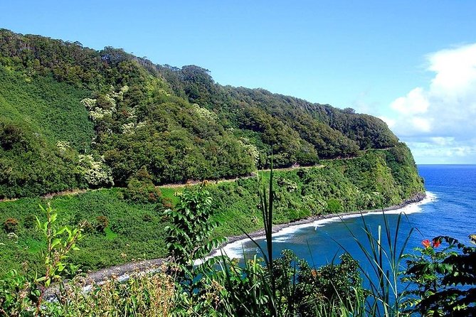 Day Trip from Oahu to Maui: Road to Hana Adventure - Price and value vs DIY: what you’re paying for