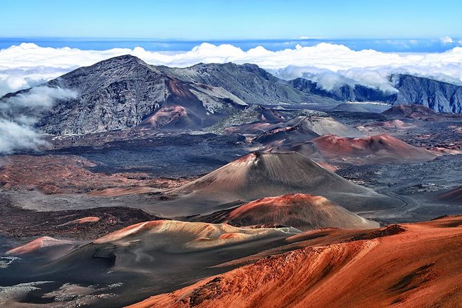 Day Trip Oahu to Maui: Sips, Sites and Bites - Key Highlights and Practical Wins