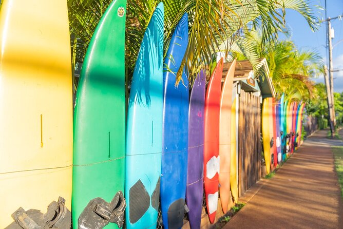 Day Trip Oahu to Maui: Sips, Sites and Bites - Price and Logistics: What You’re Really Paying For