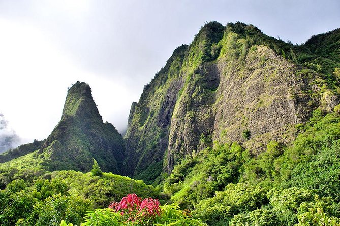 Day Trip Oahu to Maui: Sips, Sites and Bites - The 5:30 a.m. Start: Your First Test of a Long Day
