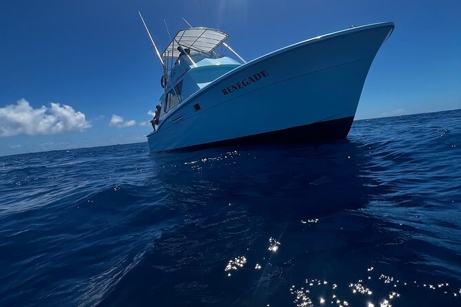 Deep Sea Exclusive Fishing Charter in Honolulu - Included vs. Not Included: Rods and Reels, No Lunch