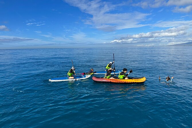 Deluxe Turtle Snorkeling Escapade at Waikiki - Timing and Meeting Point: How to Avoid the Biggest Beginner Mistake