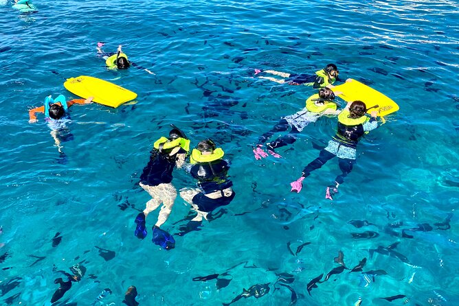 Deluxe Turtle Snorkeling Escapade at Waikiki - What You Might See: Turtles, Fish, and Seasonal Extras