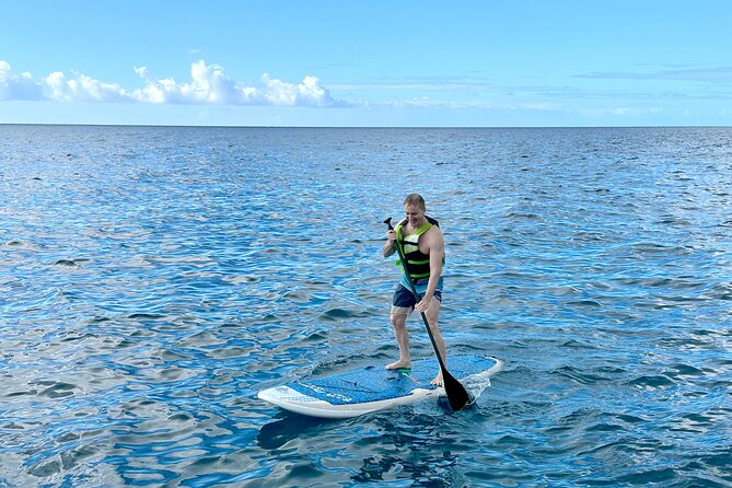Deluxe Turtle Snorkeling Escapade at Waikiki - Who This Is Best For (and Who Should Think Twice)