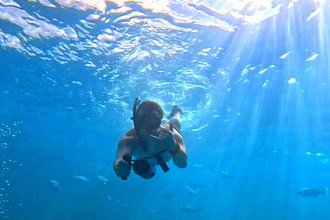 Deluxe Turtle Snorkeling Escapade at Waikiki - Crew Service That Makes Turtle Snorkeling Easier (and Better for Photos)