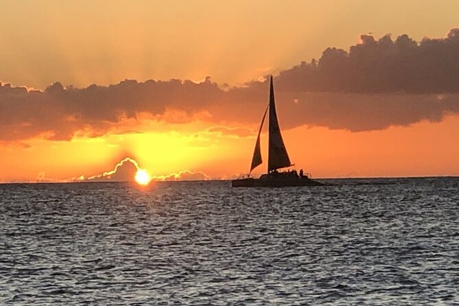 Diamond Head Sunset Sail - Wildlife Watch: Dolphins, Turtles, and Whales (When They’re in Season)