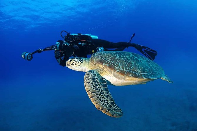 DISCOVER Scuba Diving Experience in Honolulu - Tips to get the most out of your first scuba session