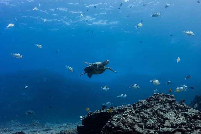 Discover Scuba Diving in Hawaii - Non certified divers! - Weather and Time: Plan for Flexibility