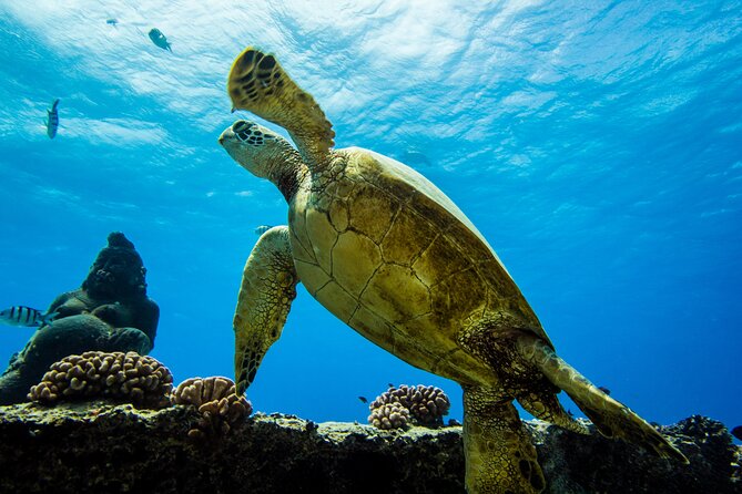 Discover Scuba Diving in Hawaii - Non certified divers! - Safety Briefing and the Medical Questionnaire: The Not-So-Fun Part That Matters