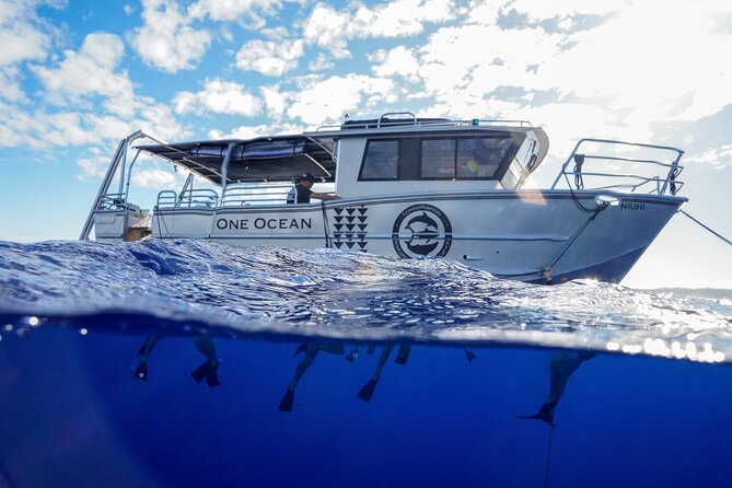 Dive with Sharks in Hawaii: Shark Tour from Haleiwa - What happens in the water: controlled swims, optional deeper time
