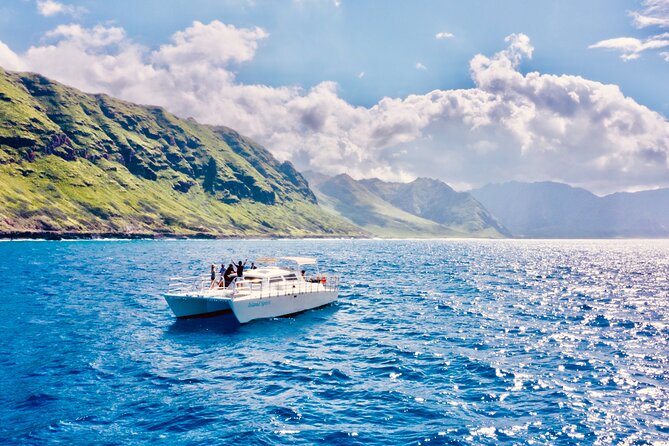 Dolphin & Seasonal Whale Watching, Turtle Snorkeling - Food and hydration at sea: the included lunch is a win