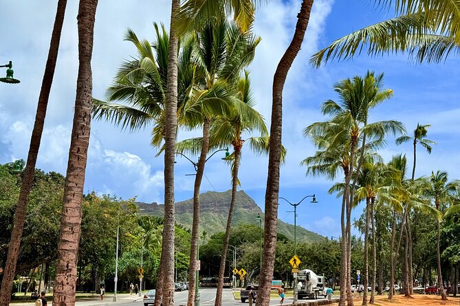 Downtown Honolulu Food Tour with 5 Local Favorites Tastings - Key things I’d circle on your plan