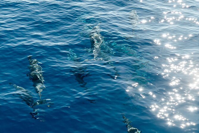 Exclusive Waikiki Yacht Snorkel with Lunch and Bevs - Diamond Head to reef time: how the 2.5 hours usually feels