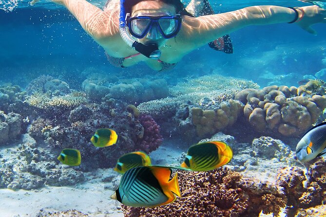 Explore Turtle Canyons Waikiki Snorkel and Sail Adventure - Turtle Canyons Waikiki Sail and Snorkel: What You Really Get in 3 Hours