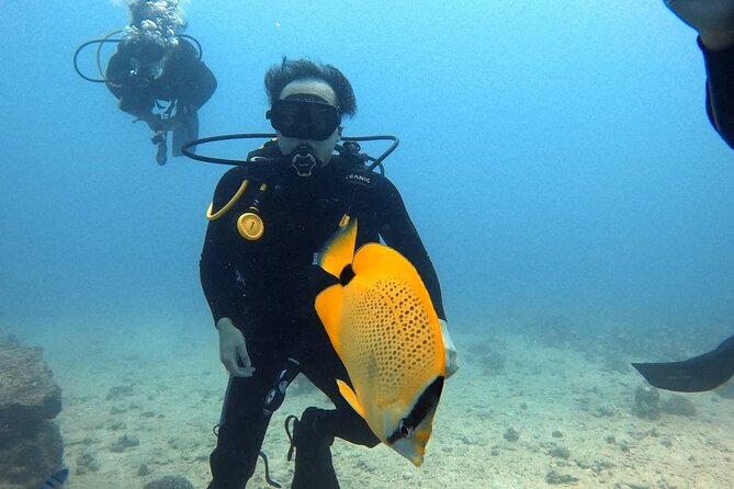 First Time Introductory Scuba Dive - Getting Ready: Meeting Point, Timing, and the Medical Waiver