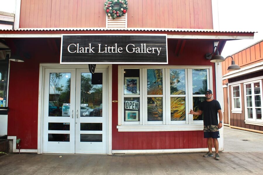 From Honolulu: Epic Island Tour - Diamond Head to Halona Blowhole: Volcanic Views and Ocean Noise