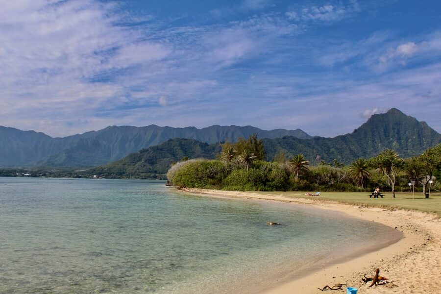 From Honolulu: Epic Island Tour - Tropical Farms: Coffee, Macadamia Samples, and a Local-Friendly Break