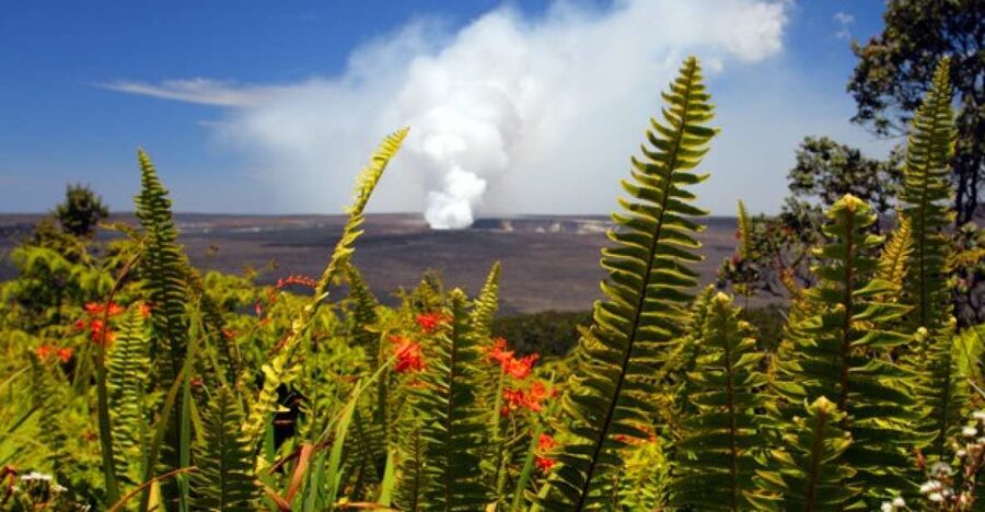 From Oahu: Big Island Volcano Adventure - Hawai‘i Volcanoes National Park: Halema‘uma‘u, Steam Vents, and Kīlauea Views