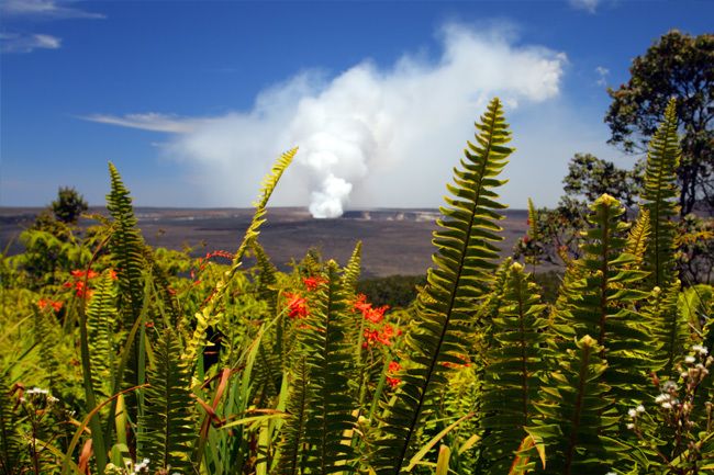 From Oahu: Big Island Volcano Adventure - Black Sand Beach Finish: Volcanic Proof at the Water’s Edge