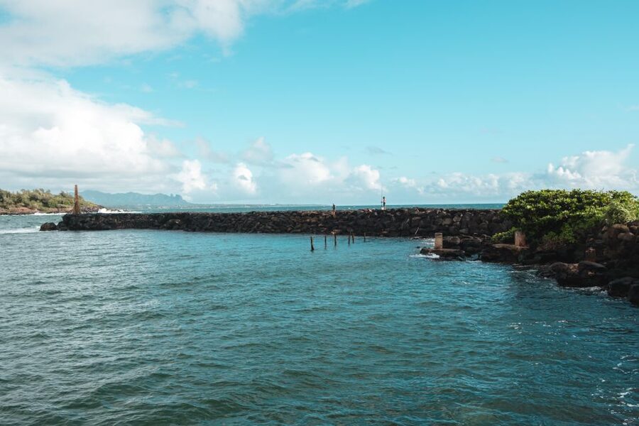 From Oahu: Kauai Highlights & Movie Sites - A brief sightseeing stop before the main hits