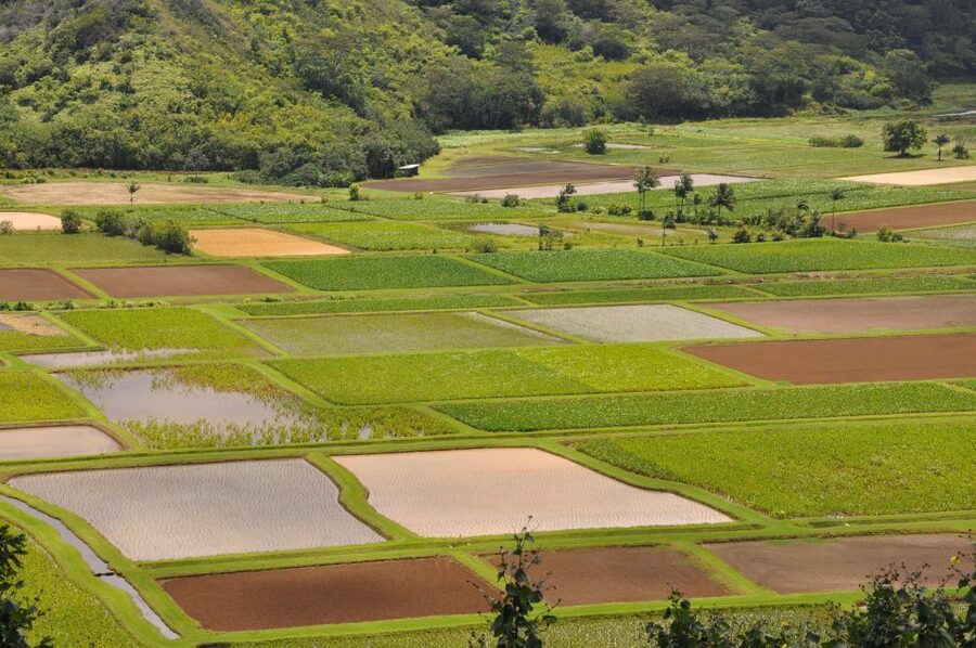 From Oahu: Kauai Highlights & Movie Sites - Before you go: IDs, shoes, and packing light