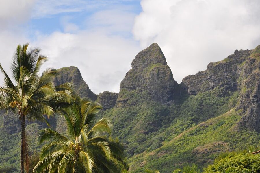 From Oahu: Kauai Highlights & Movie Sites - Opaeka‘a Falls and Hanalei Valley Lookout: water, taro, and time well spent
