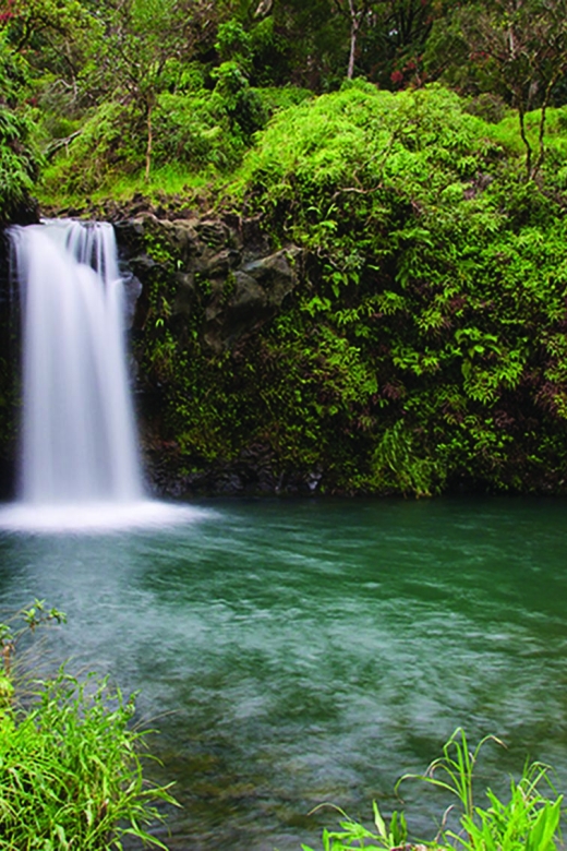 From Oahu: Maui Road to Hana Sightseeing Tour - The Driver-Guide Advantage on a Road Built for Patience