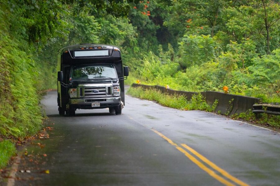 From Oahu: Maui Road to Hana Sightseeing Tour - Waianapanapa State Park: Black Sand, Volcanic Shoreline, and Sea Caves