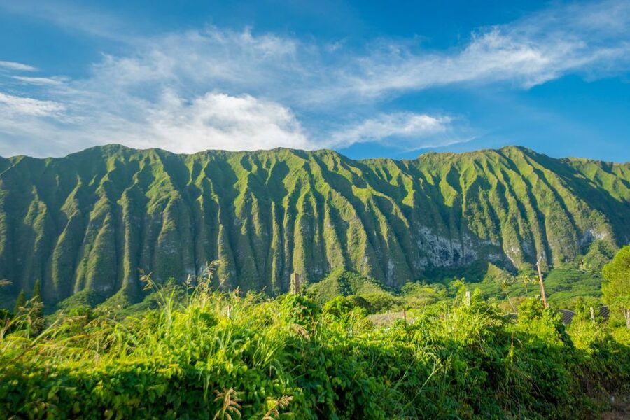 From Waikiki: Best of Oahu Photo Tour with Pickup - East Oahu Viewpoints That Make the Drive Worth It