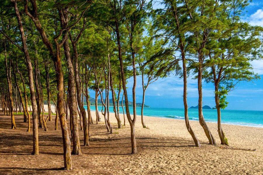 From Waikiki: Best of Oahu Photo Tour with Pickup - How Much Value $99 Actually Buys You Here
