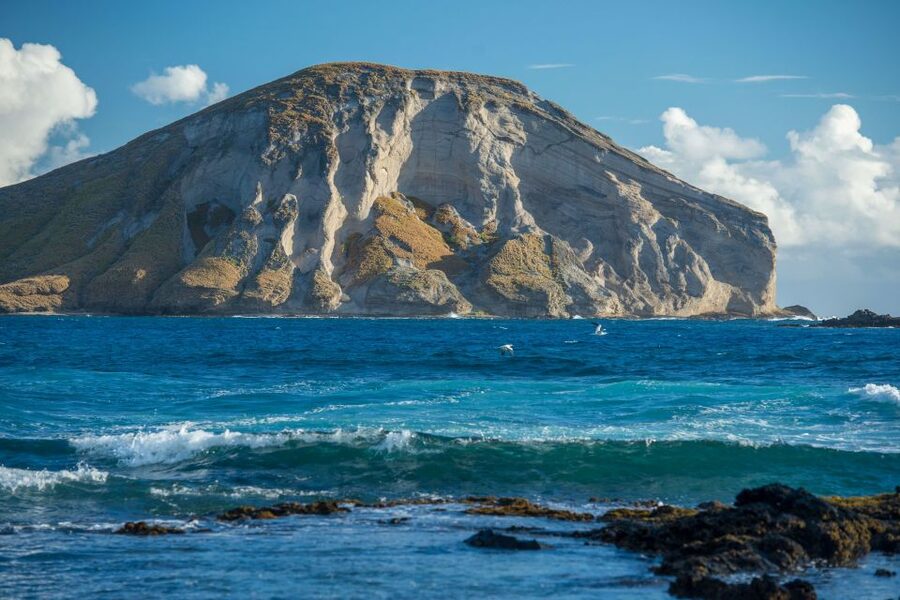 From Waikiki: Best of Oahu Photo Tour with Pickup - Who This Tour Suits Best (and Who Might Want Something Else)
