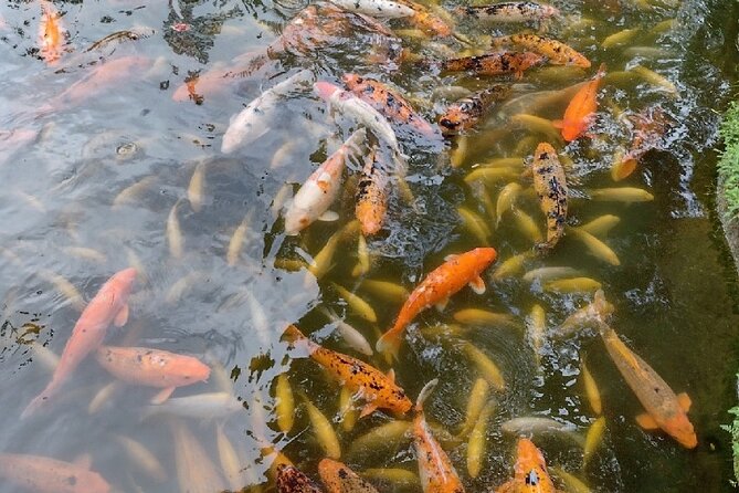 Full Day Oahu Tour with Byodo Temple & Waimea Waterfalls - Macadamia nut stop and Dole Plantation: souvenirs you’ll actually use