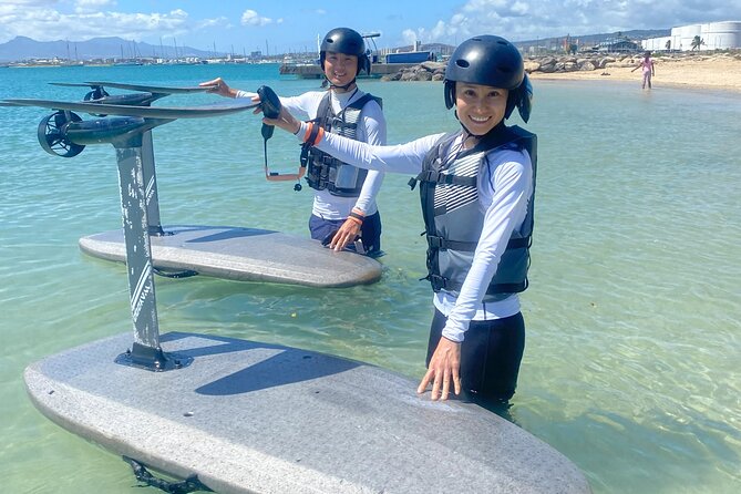 Group of 2 + mid length eFoil experience Honolulu HAWAII - Ground school on the beach: the calm part before the flying part