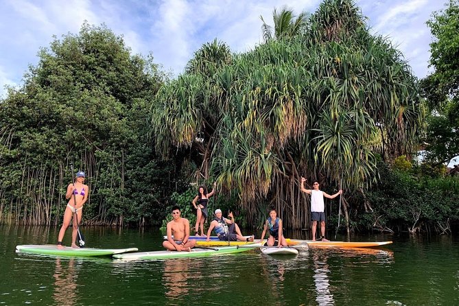 Group Stand Up Paddle Lesson and Tour - Key Highlights You’ll Actually Care About