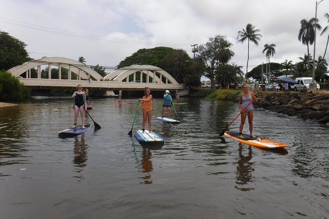 Group Stand Up Paddle Lesson and Tour - What You Learn on the Water: Hawaiian Fauna and Haleiwa Town Stories