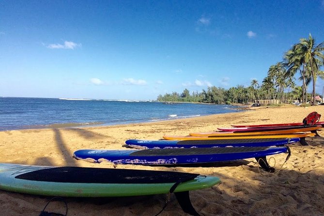 Group Stand Up Paddle Lesson and Tour - The Group Dynamic: How Mixed Skills Stay Comfortable