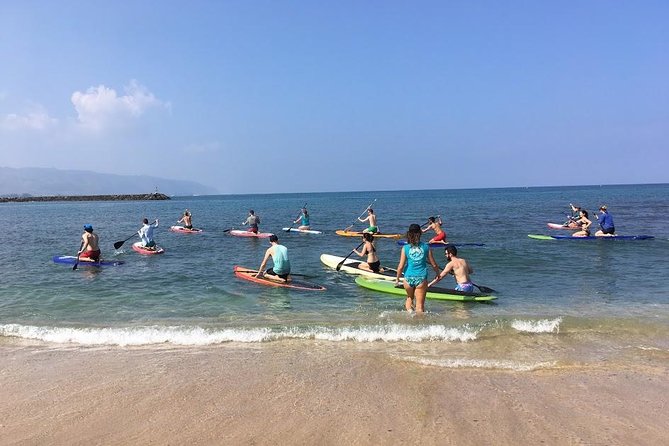 Group Stand Up Paddle Lesson and Tour - Haleiwa Bay to the Anahulu Stream: Turtle Country with Easygoing Water