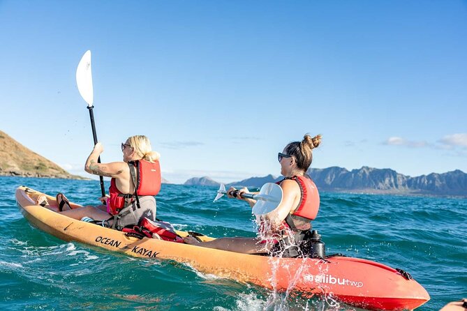 Guided E-Bike and Kayak Tour to Mokulua Islands in Kailua, Oahu - Kailua Beach Park Meeting Point and the Hawaiian Sun Finish