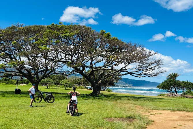 Guided E-Bike Tour in North Shore - Key highlights worth knowing