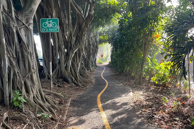 Guided E-Bike Tour in North Shore - Stop 1: Haleiwa Town Center for plantation-style streets and local shops