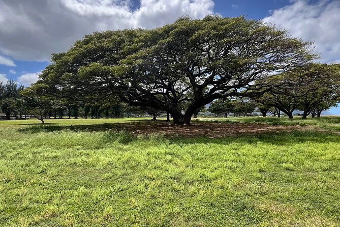 Guided E-Bike Tour in North Shore - Stop 2: Hale‘iwa Boat Harbor for fishing culture by the water
