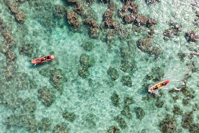 Guided Kayak Tour to Kailua’s Twin Islands - Meeting at Active Oahu Tours: What the Start Looks Like